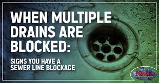 Small drain problems can quickly turn into major plumbing disasters.